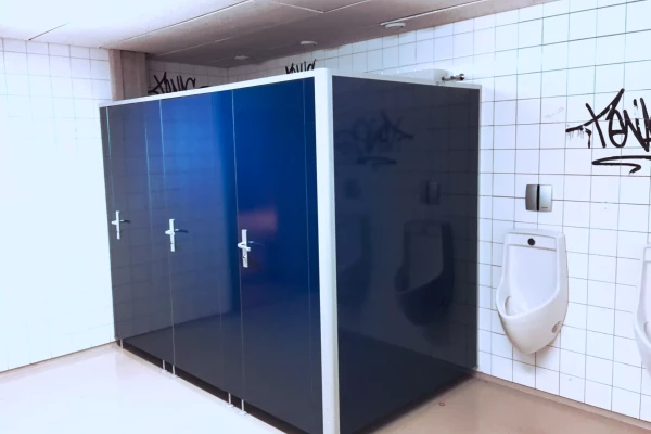 des toilettes bleues