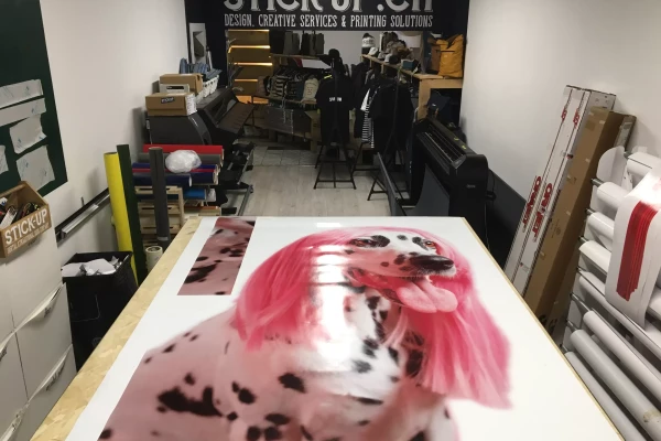 covering sur une voiture