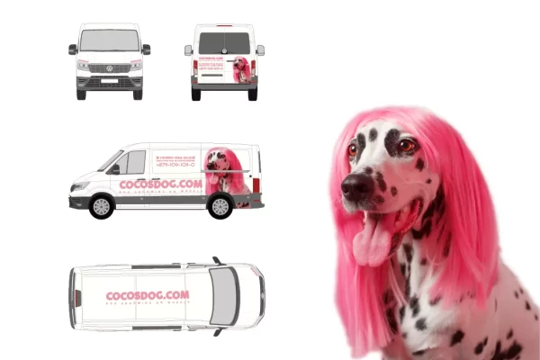 covering sur une voiture