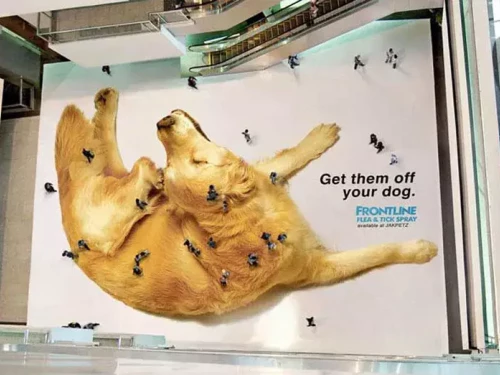 marquage au sol d'événement